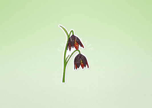 Chocolate Lily (Fritillaria biflora) Vinyl Sticker - Chellekie Creations