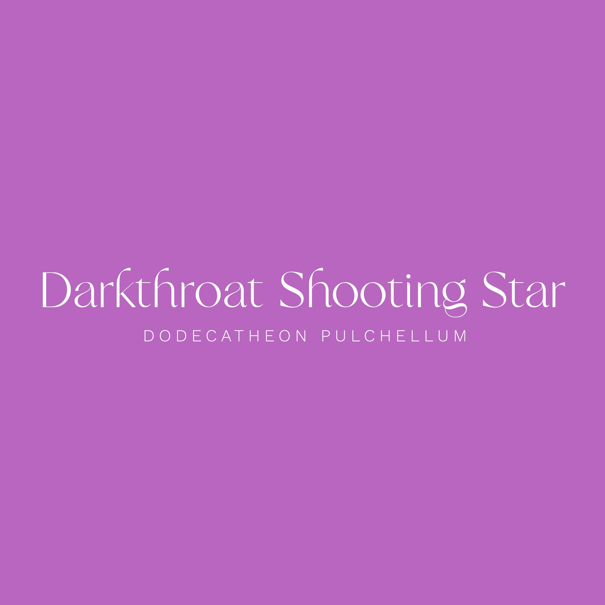 Shootingstar Flower 1.5" Pinback Button - Chellekie Creations