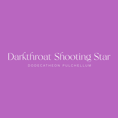Shootingstar Flower 1.5" Pinback Button - Chellekie Creations